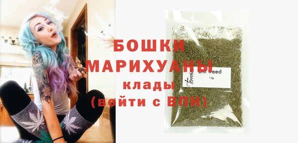 молекула духа Долгопрудный