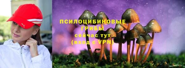 соль ск Михайлов