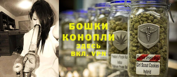 МДПВ Медногорск
