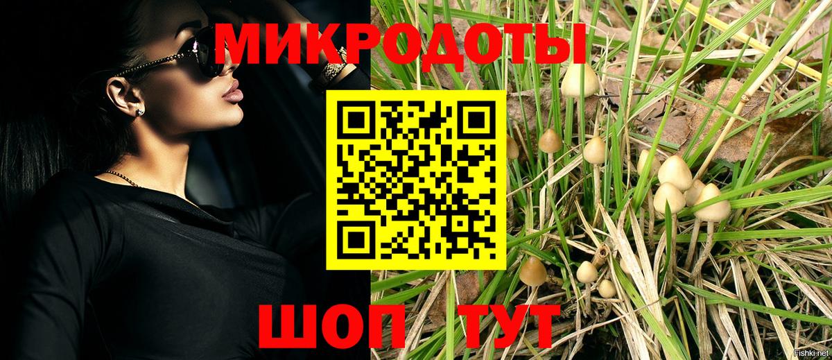 Псилоцибиновые грибы Magic Shrooms  купить  сайты  Лесозаводск 