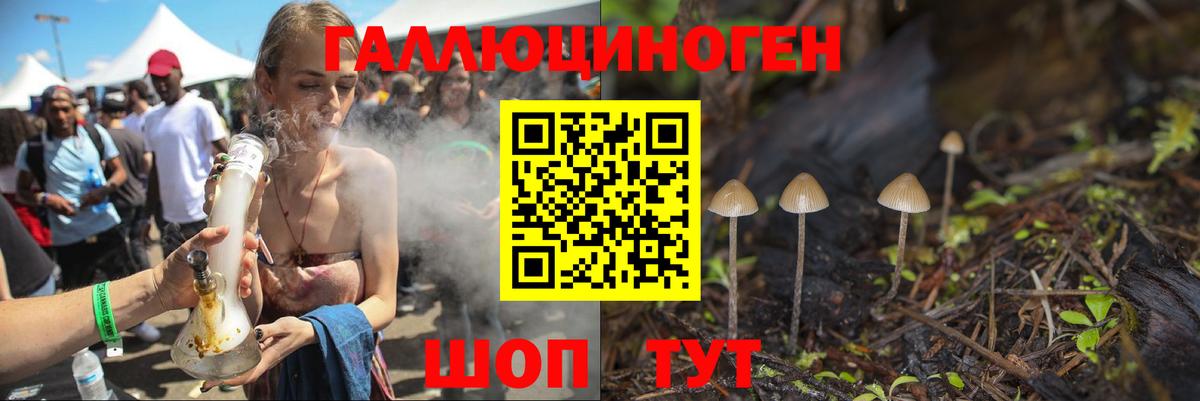 Псилоцибиновые грибы Psilocybine cubensis  Вход с VPN  Псилоцибиновые грибы Psilocybine cubensis  купить наркотики сайты  Лесозаводск 